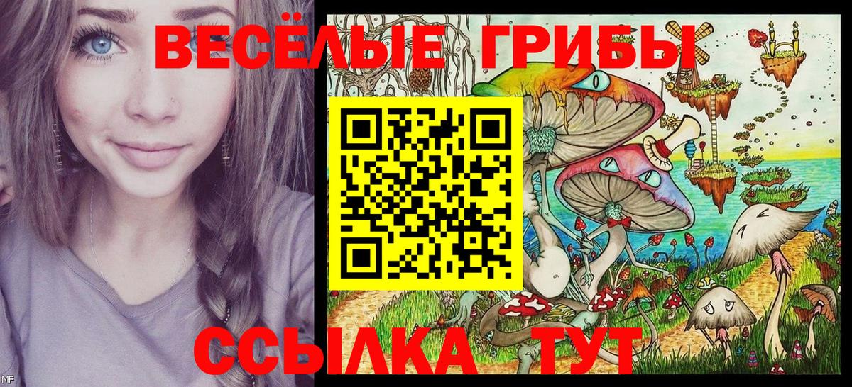 Галлюциногенные грибы ЛСД  Вход с VPN  Нововоронеж 